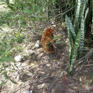 Meet your Posher, Alana